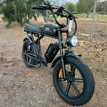 Load image into Gallery viewer, Bear X6 (Dual Battery)